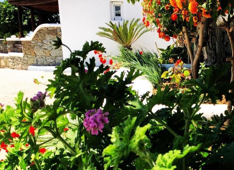 בית מלון כפרי Irene's Residence