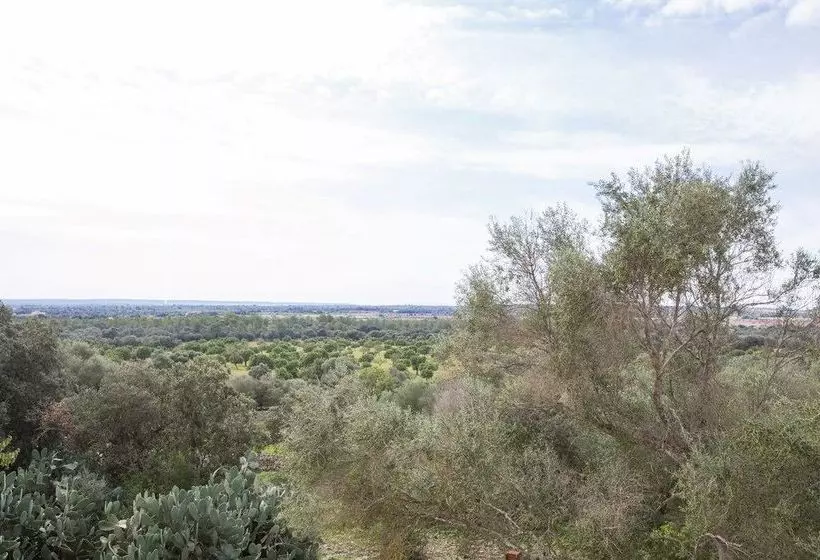 Son Veny - Porreres