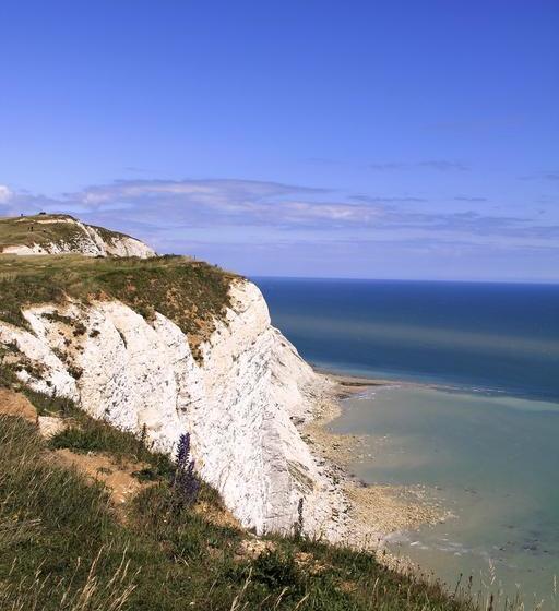 Thimbles Bed & Breakfast