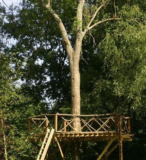 Thimbles Bed & Breakfast