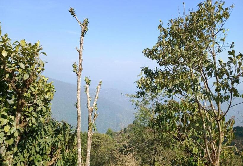 Bed and Breakfast Serendipity By The Mountains