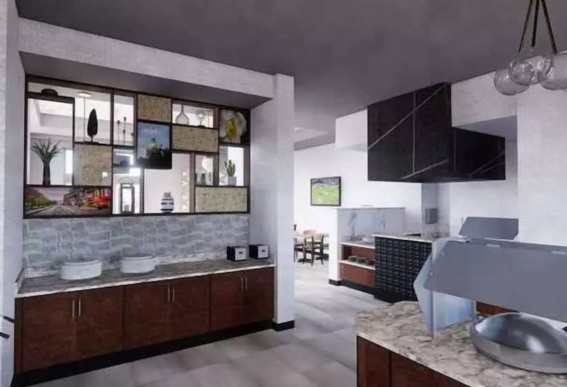 Drury Plaza Hotel Cincinnati Florence