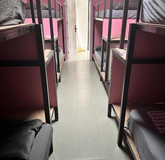 Disco Zoo Bar & Hostel