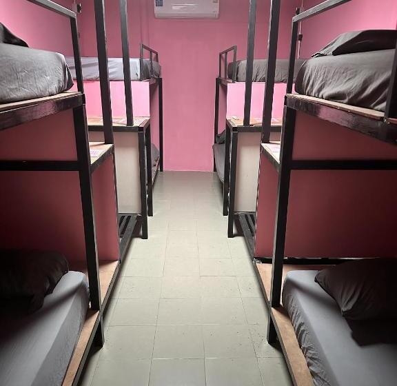 Disco Zoo Bar & Hostel