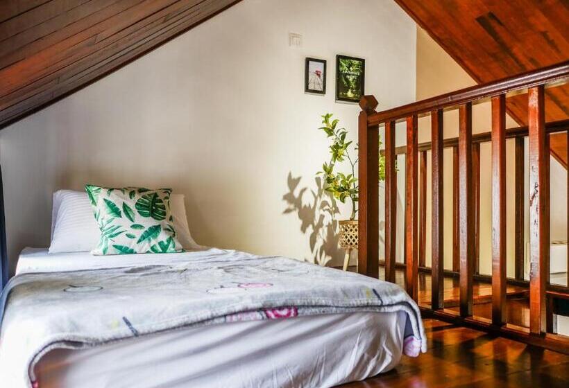 ユースホステル Carnarvon Antique Loft