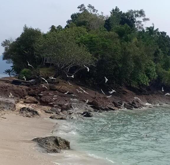 Szálló Pamutusan Island