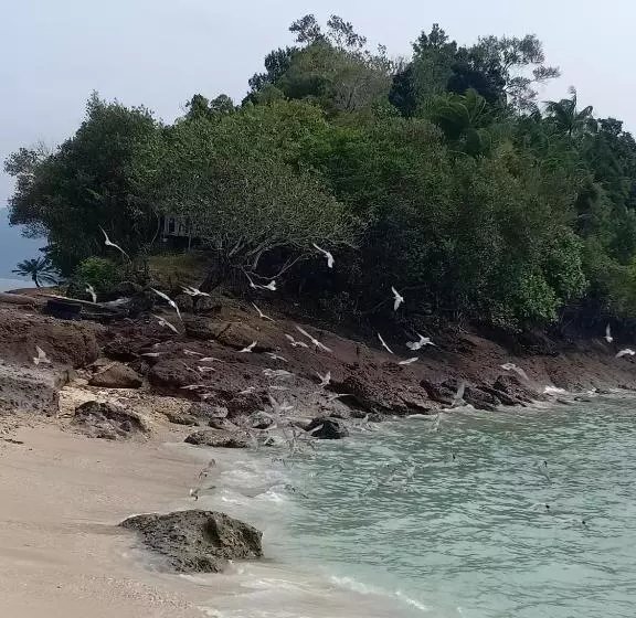 ユースホステル Pamutusan Island