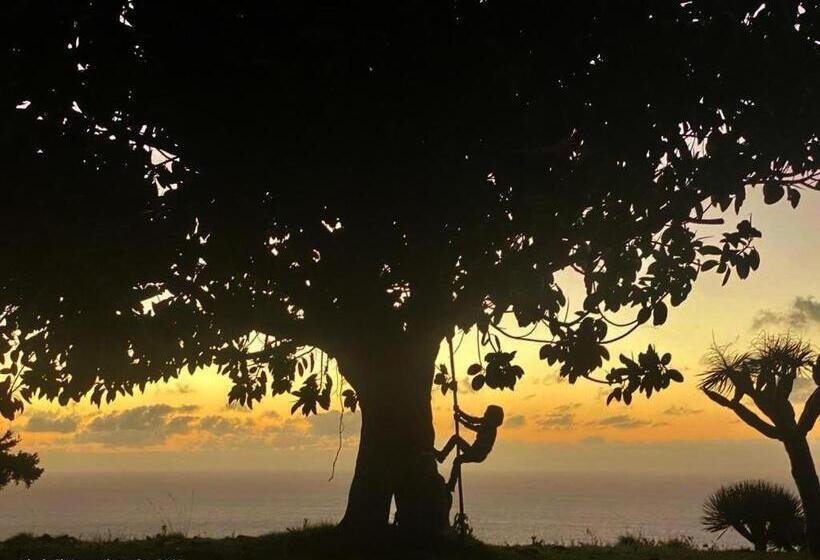 تختخواب و صبحانه La Rayuela Suites