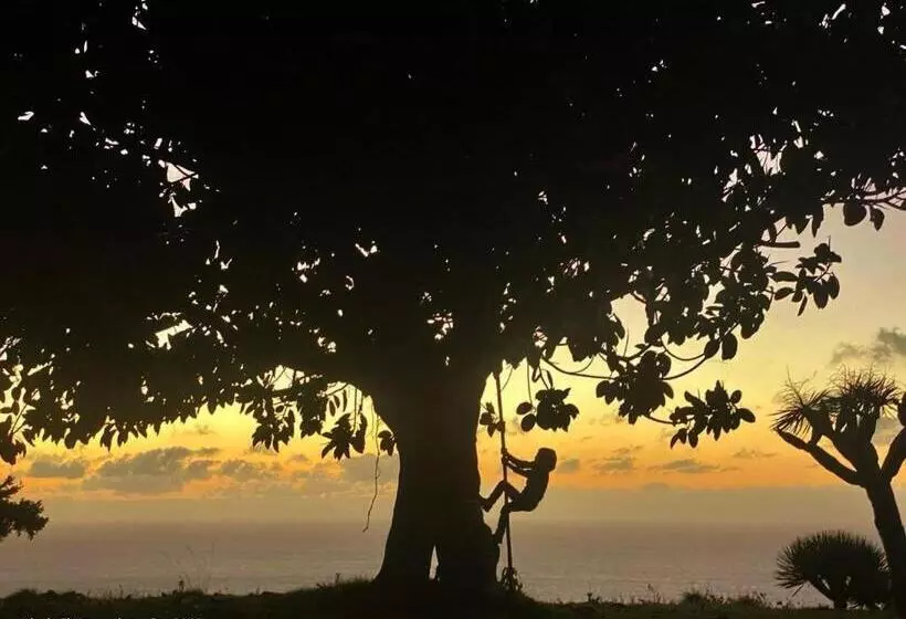 Aamiaismajoitus (B&B) La Rayuela Suites