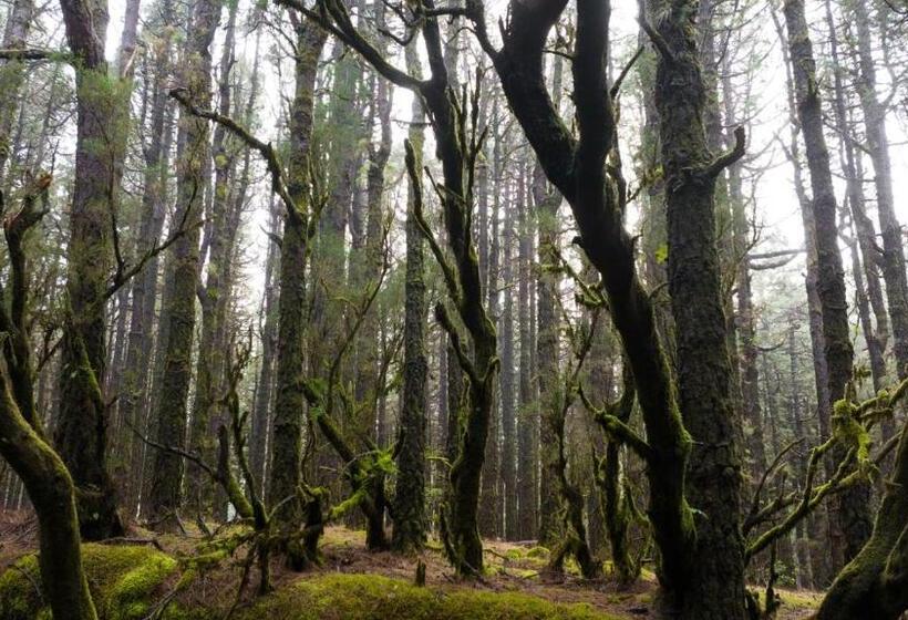 تختخواب و صبحانه La Rayuela Suites