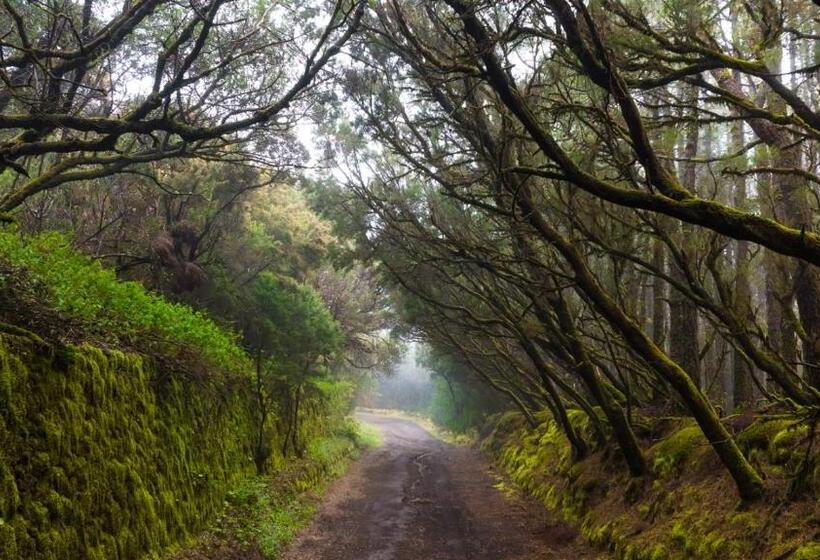 تختخواب و صبحانه La Rayuela Suites