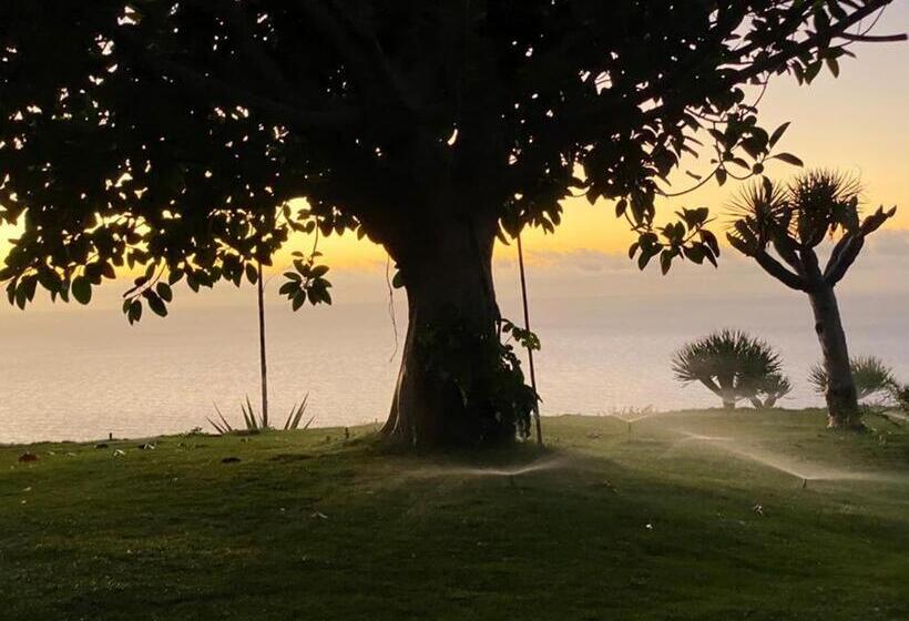 تختخواب و صبحانه La Rayuela Suites