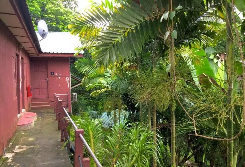 ホテル D View Hill