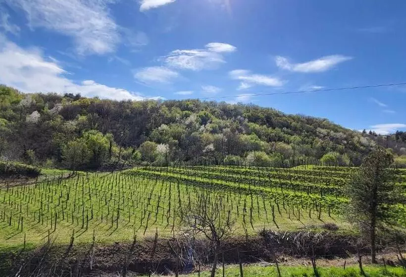 ホテル Il Tempio Nel Bosco The Rustic Rooms & Wine