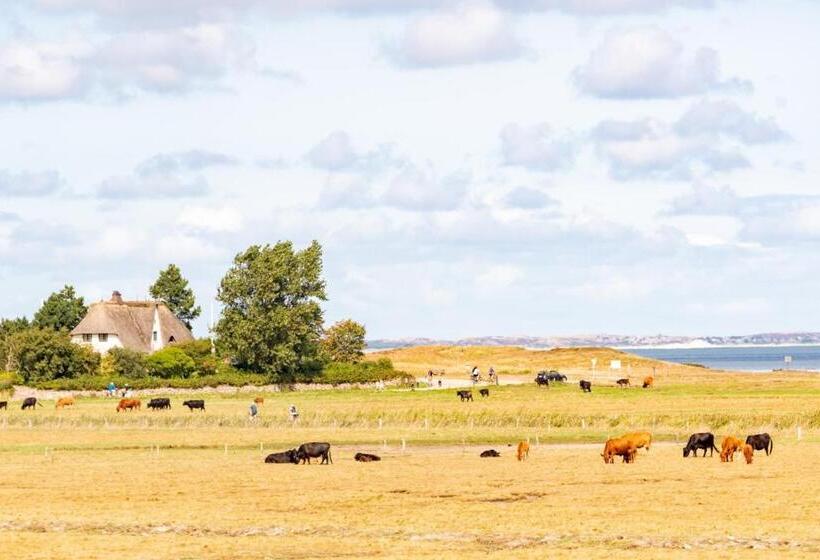 ホテル Project Bay Workation Sylt