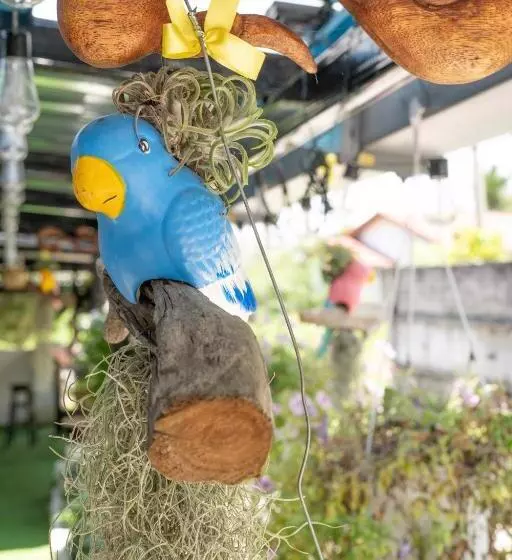 ユースホステル Mimpimoon Langkawi