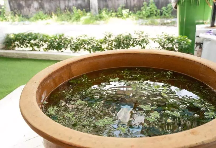 ユースホステル Mimpimoon Langkawi