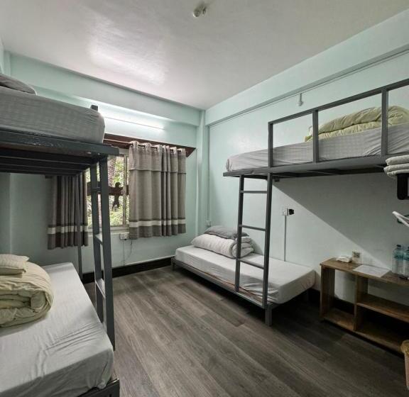 هاستل Night Trails