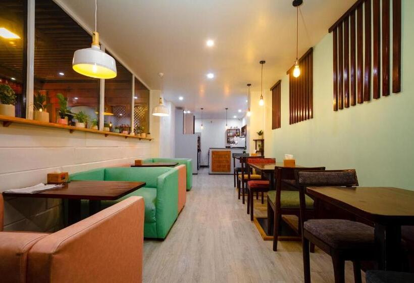 هاستل Night Trails