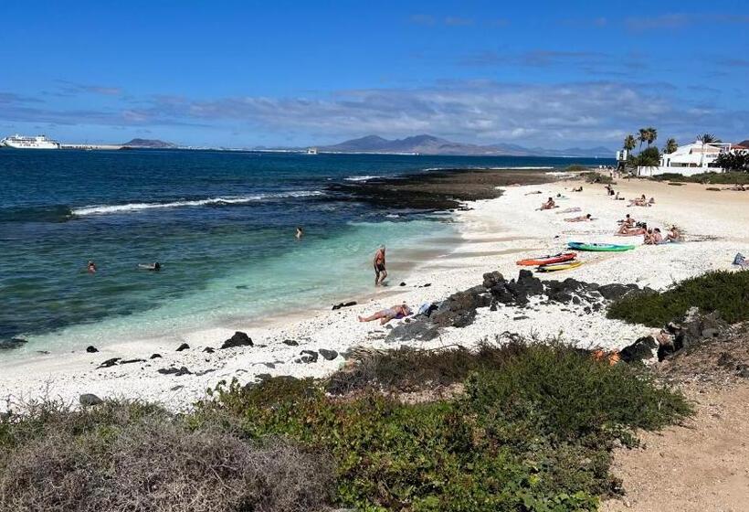 פנסיון Kauri Nomad Surf & Kite House