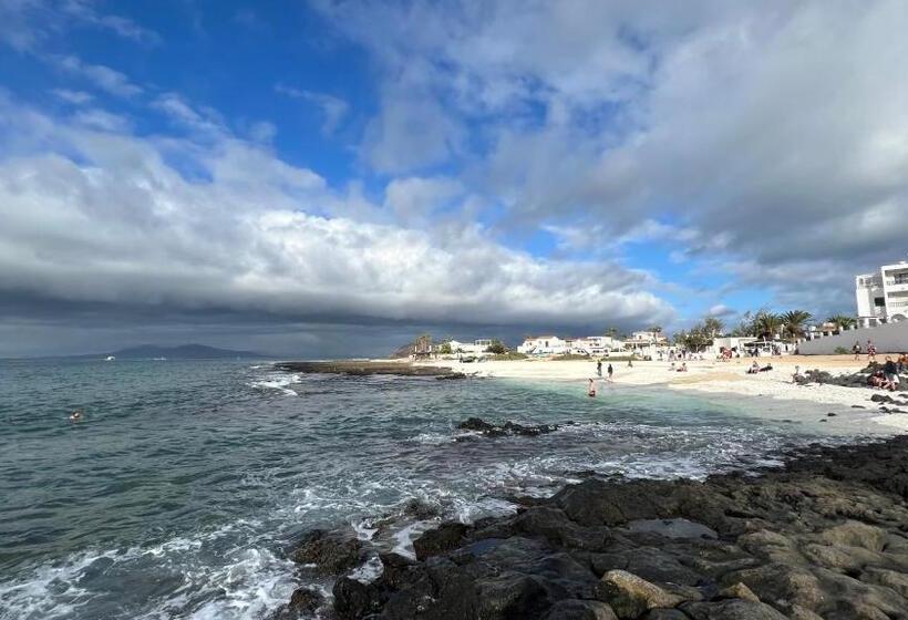 פנסיון Kauri Nomad Surf & Kite House