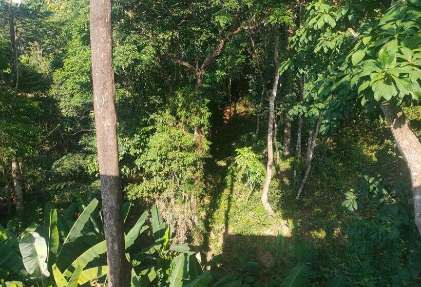 Курорт Relax House Sunset View