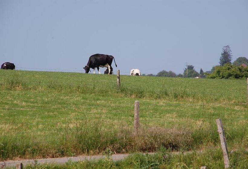 ベッドアンドブレックファースト Bed & Cook