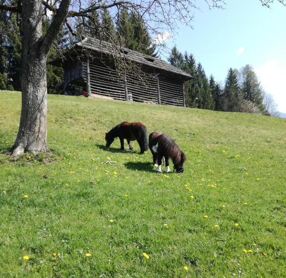 민박 Haus Oswald Am See