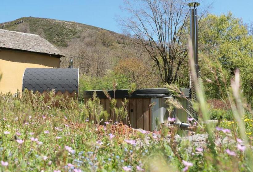 ベッドアンドブレックファースト Lou Prat