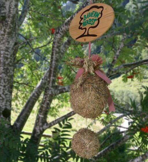 צימר Senninger Alm