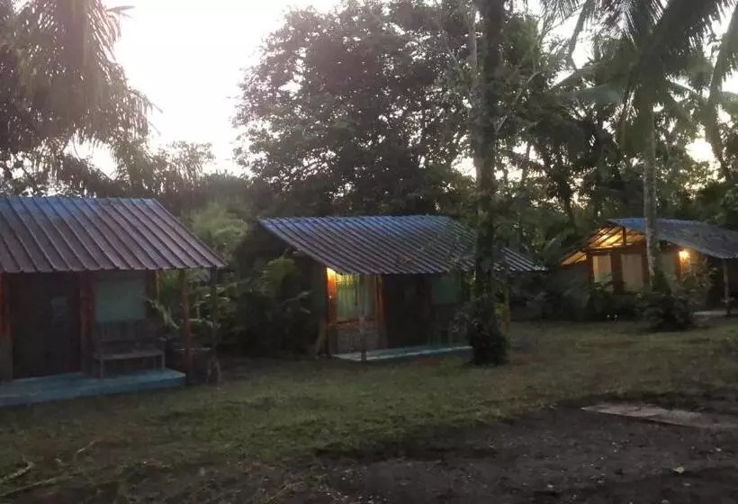 Aamiaismajoitus (B&B) Turqui Paradise