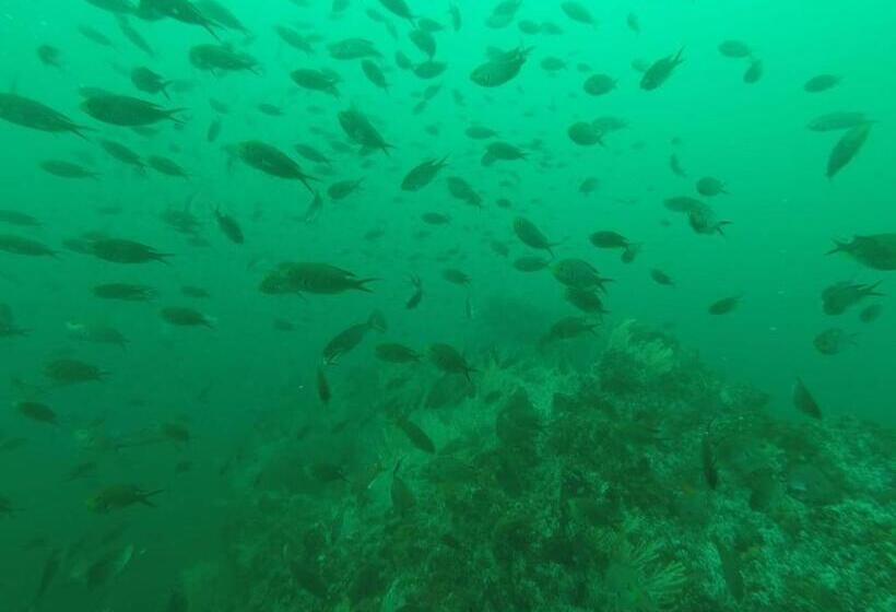 Bed & Breakfast Turqui Paradise