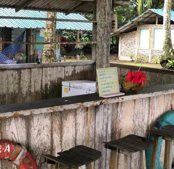 Bed & Breakfast Turqui Paradise