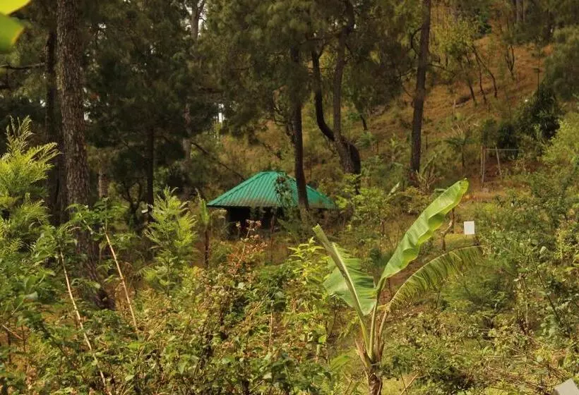 ホテル Heal Farm   Himalayan Eco Alternative Lifestyle For Agriculture Recreation And Meditation