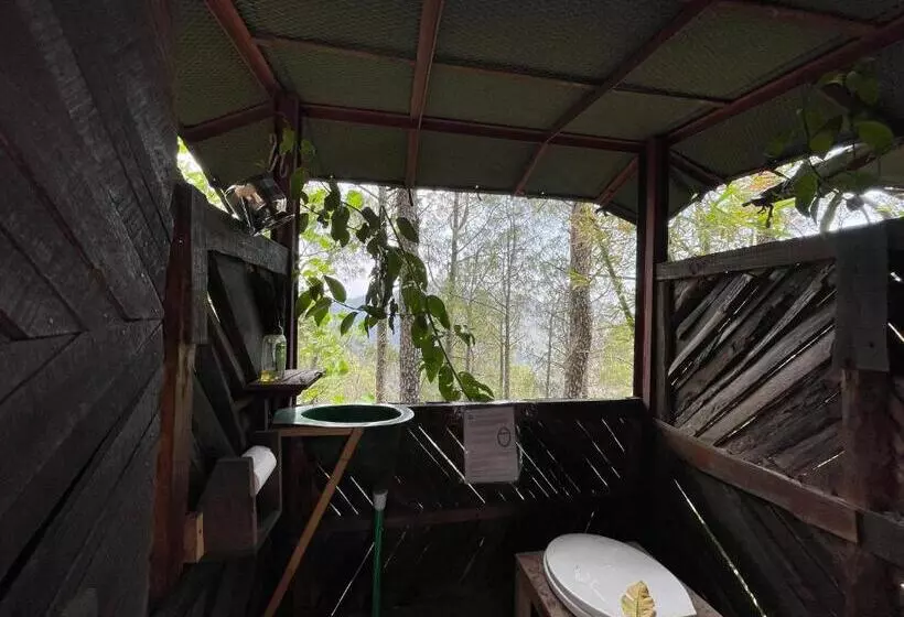 ホテル Heal Farm   Himalayan Eco Alternative Lifestyle For Agriculture Recreation And Meditation