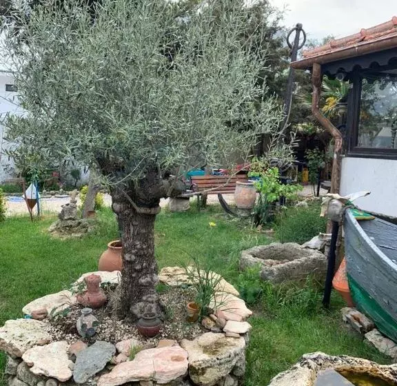 پانسیون La Doi Pasi De Mare