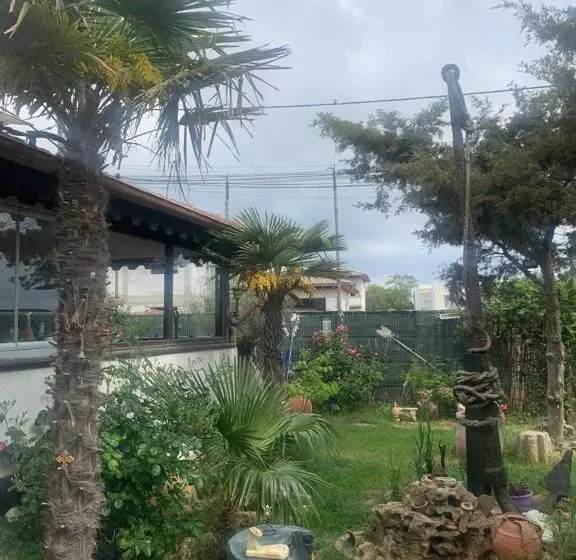 پانسیون La Doi Pasi De Mare