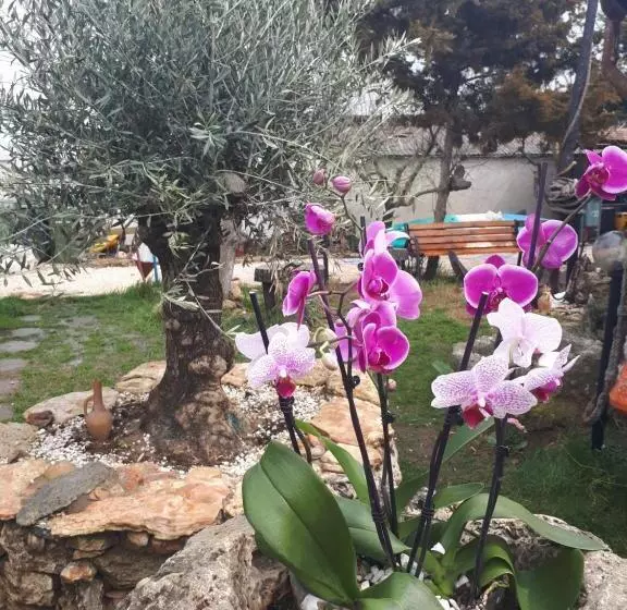 پانسیون La Doi Pasi De Mare
