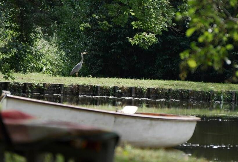 پانسیون Le Moulin De L Ortille