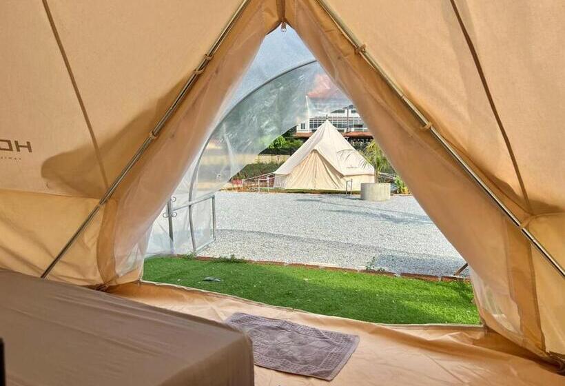 פנסיון Reserve The Cozytainer