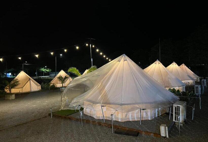 פנסיון Reserve The Cozytainer