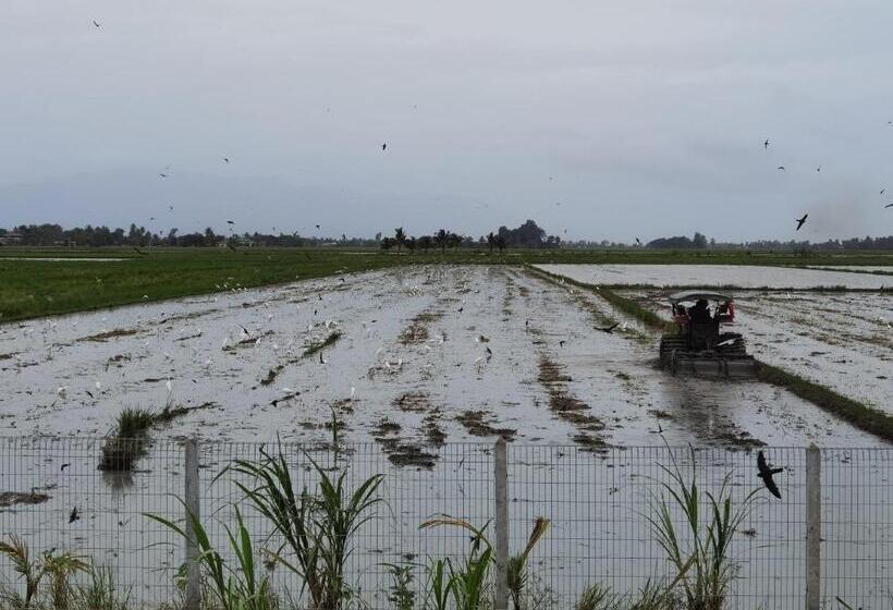 リゾートホテル Dangau Sala D Kontena