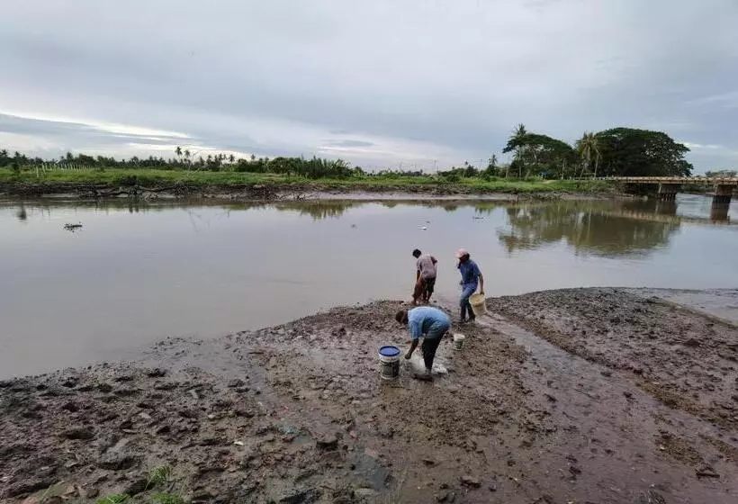 リゾートホテル Dangau Sala D Kontena