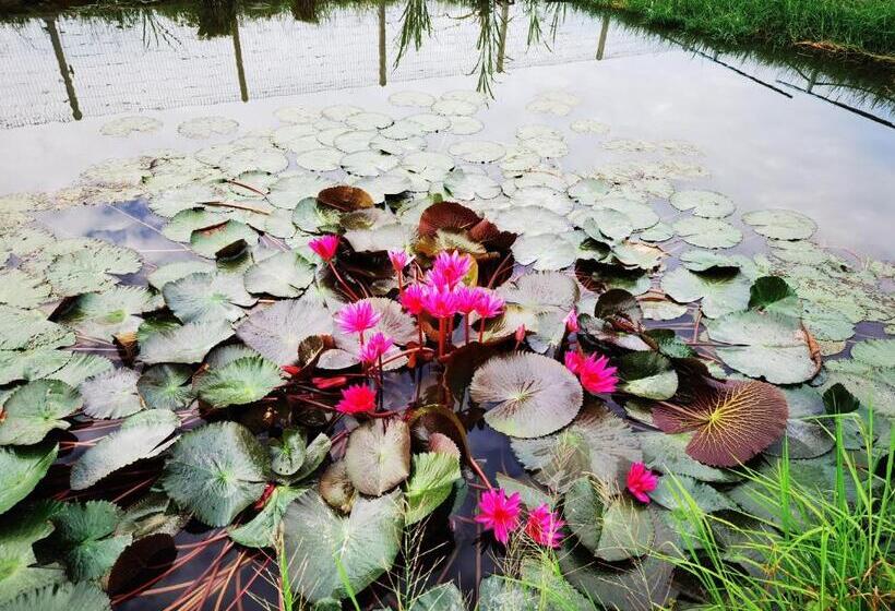 リゾートホテル Dangau Sala D Kontena