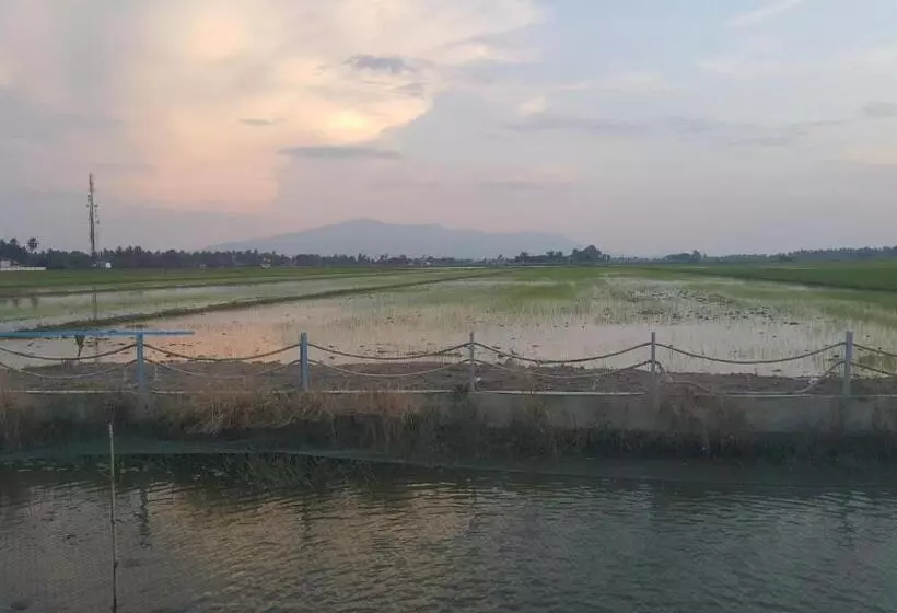 リゾートホテル Dangau Sala D Kontena