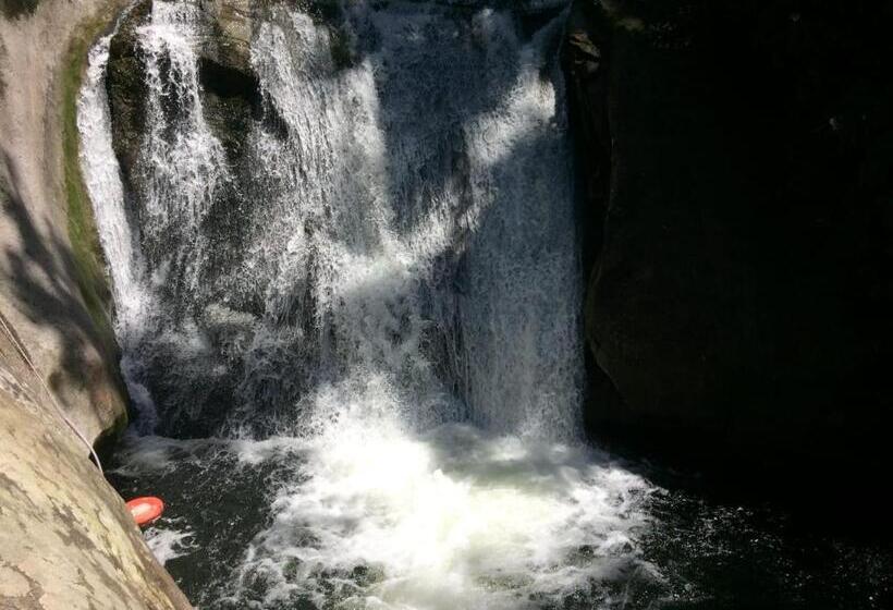 ユースホステル Pousada Flor Da Manhã