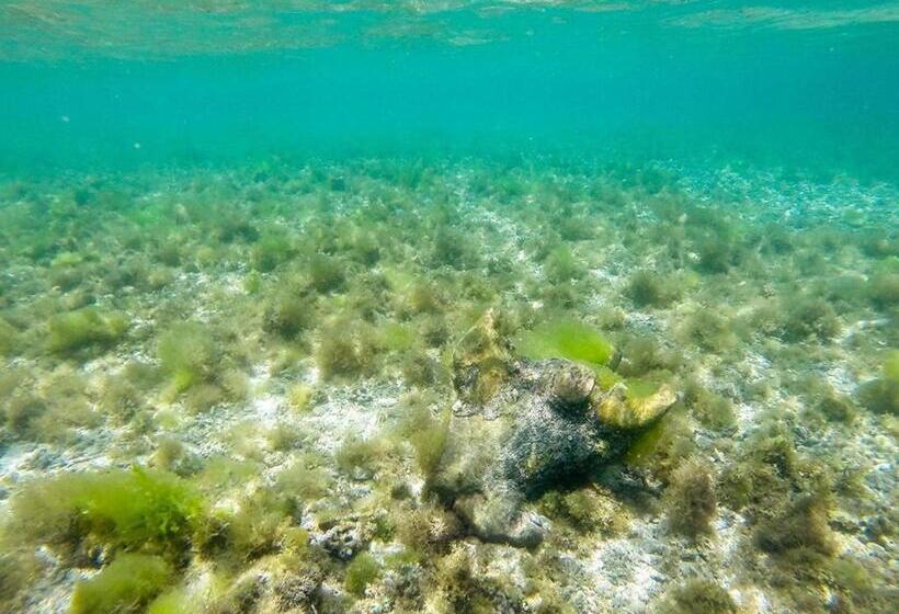 Bed and Breakfast Sunset Beach House