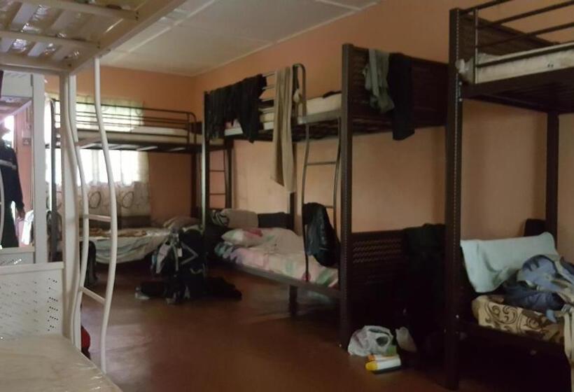 Pensão Gecko Guesthouse