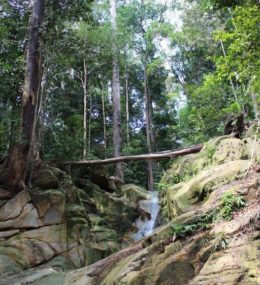 Pensão Nanga Damai Homestay