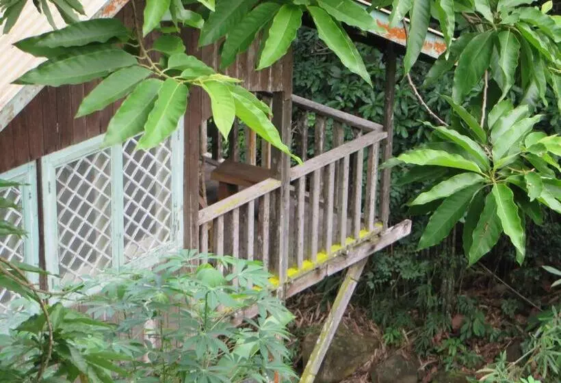 ペンション Nanga Damai Homestay